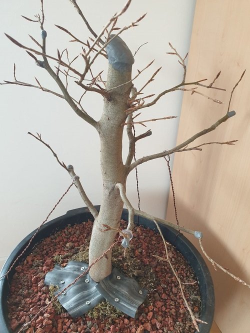 Baum gedrahtet 2.jpeg