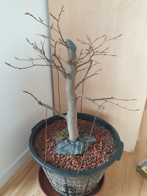 Baum gedrahtet 5.jpeg