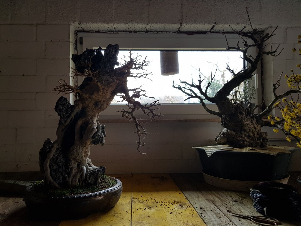 20210318_095619.jpg