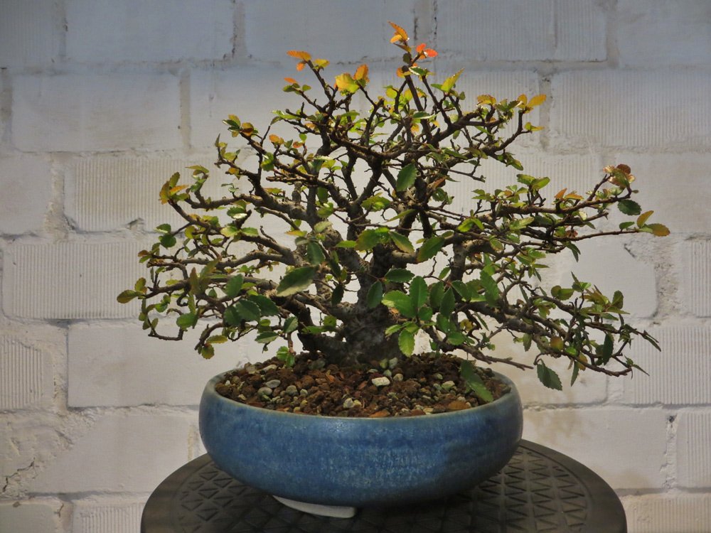 aIMG_5485.jpg