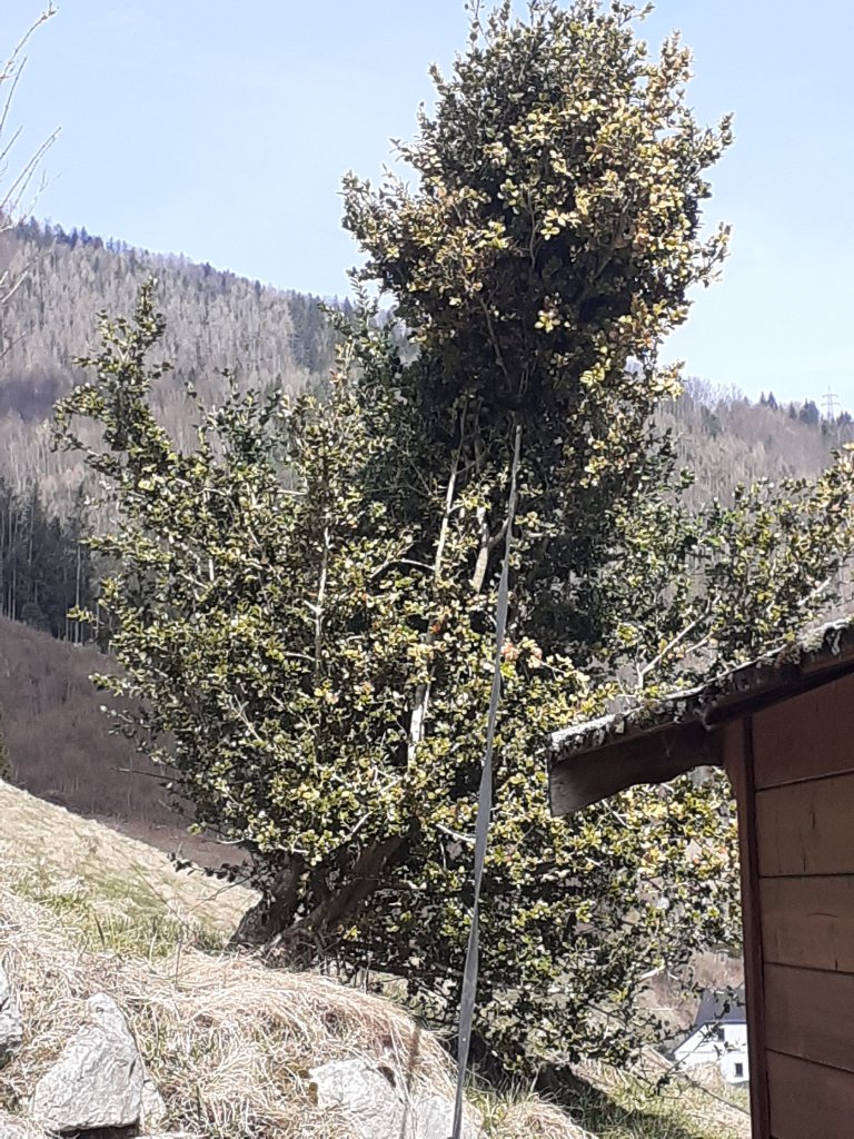 20210328_111017_copy_2786x3715.jpg