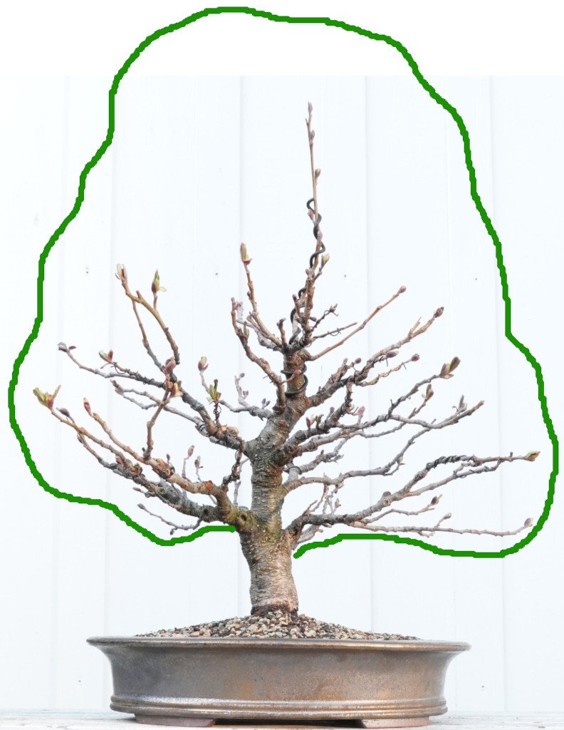 2021-03-30__.jpg