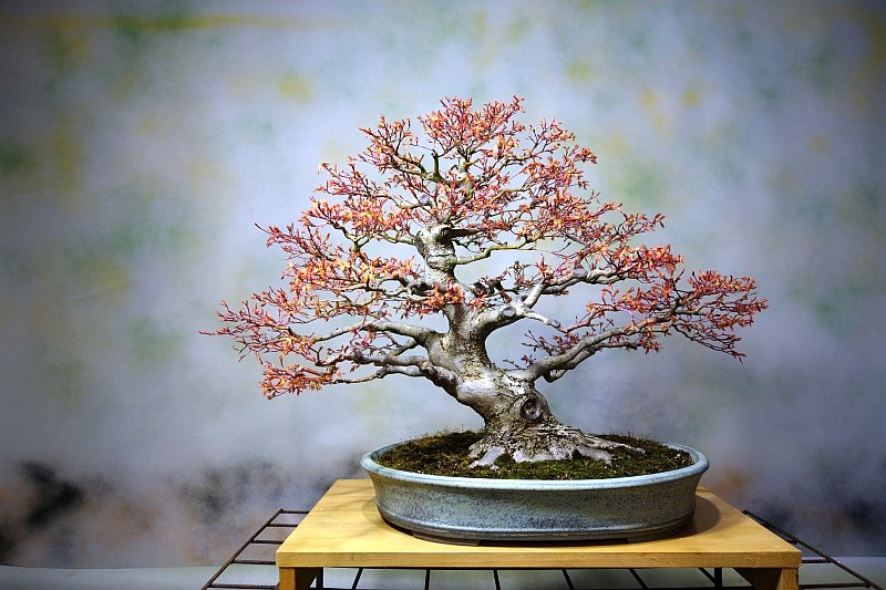 05.04.21