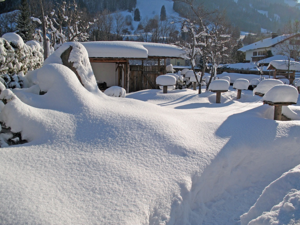 Schneelandschaft.jpg