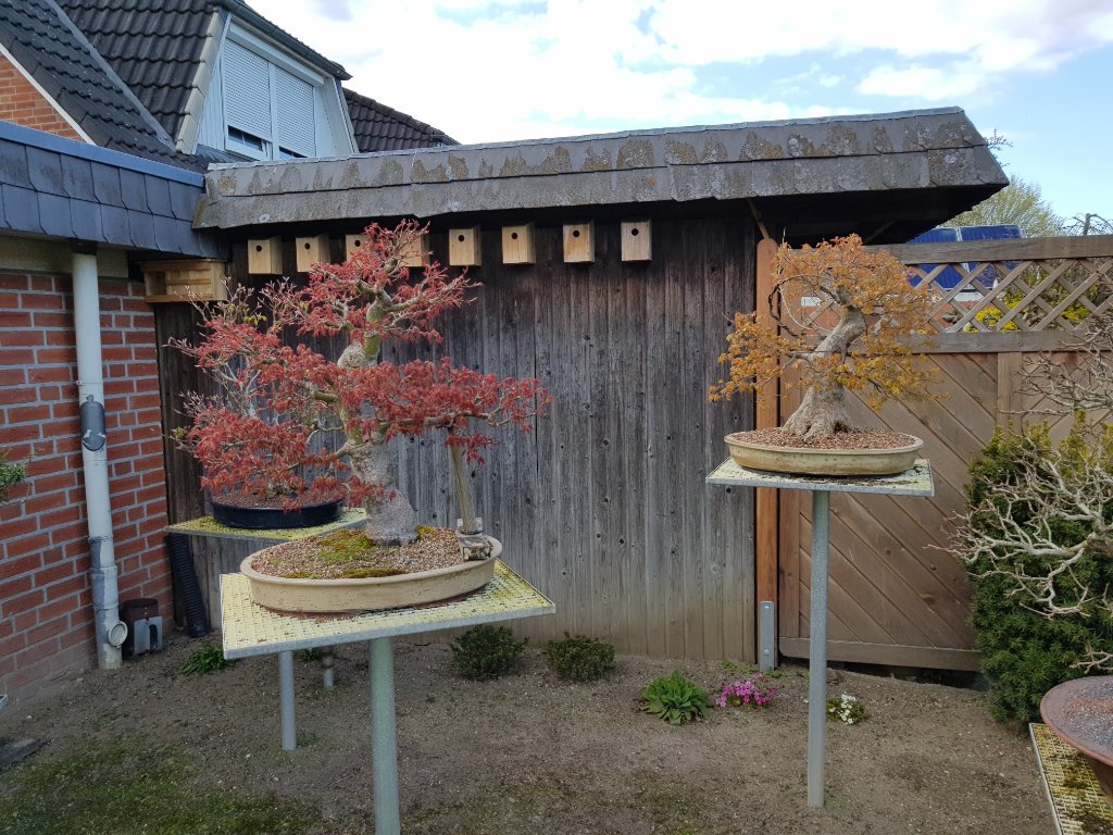 20210424_174808.jpg