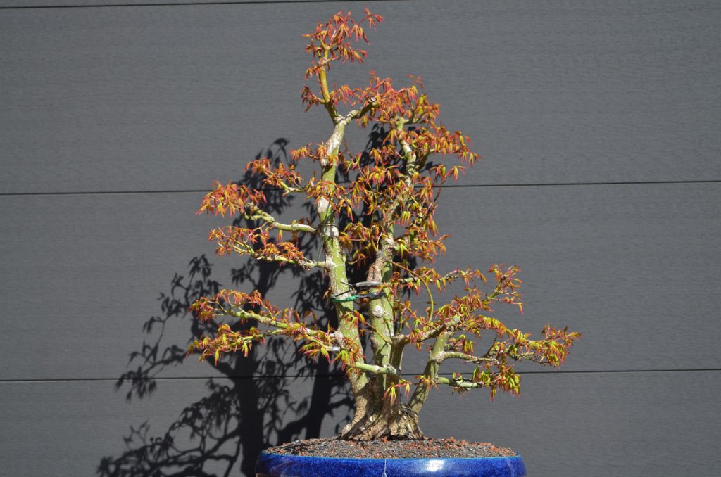 DSC_1351.JPG