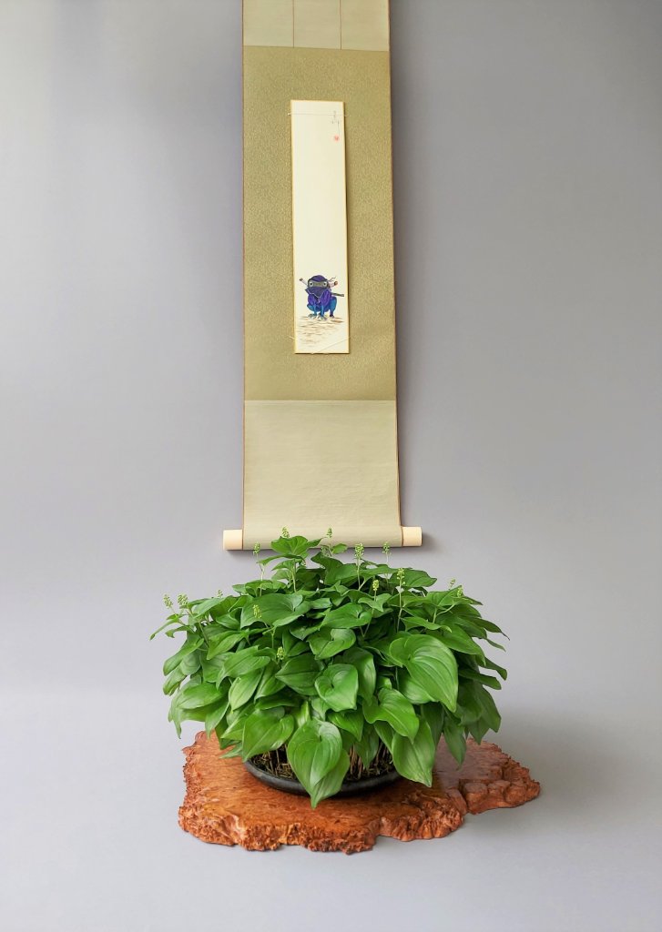 Maianthemum bifolium