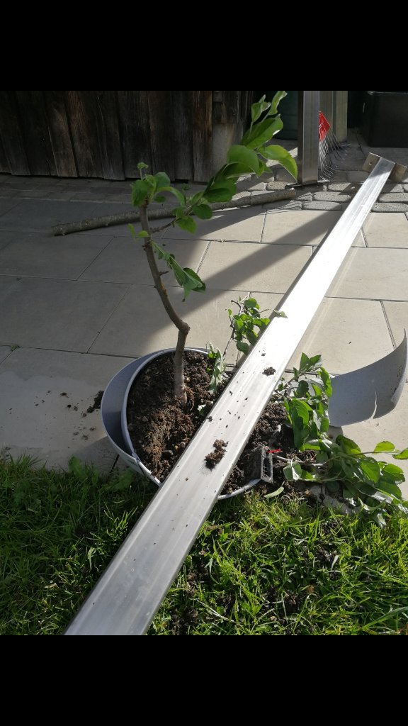 Malus 202105