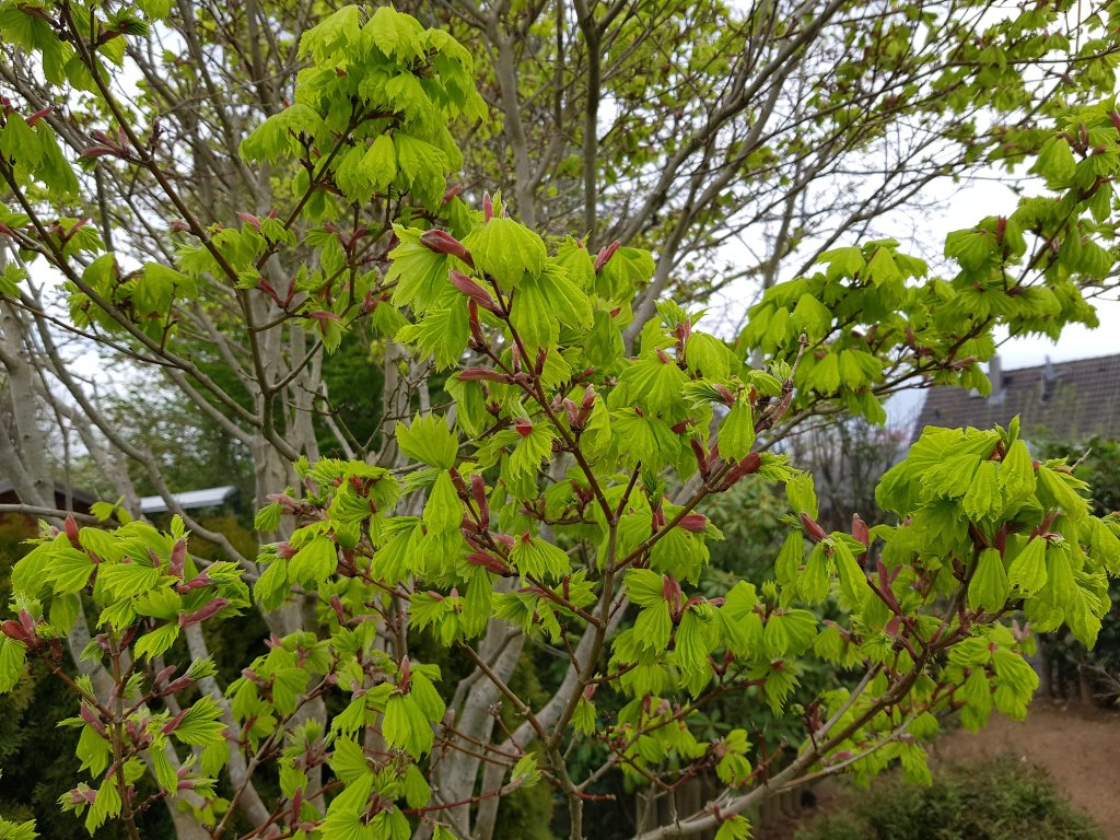 20210510_093900.jpg