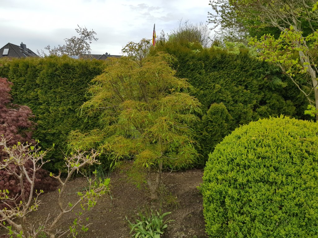20210510_093835.jpg