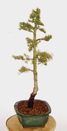 h 002.jpg