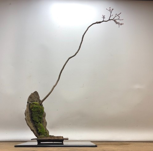 Shishigashira.jpg