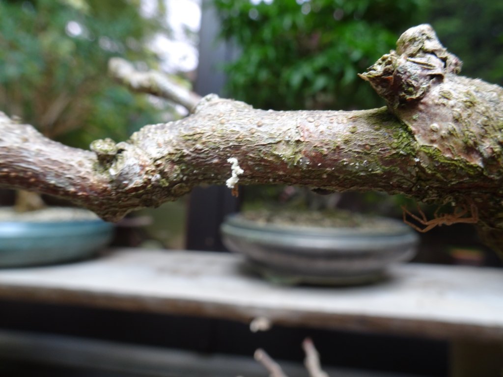 DSC01710.JPG