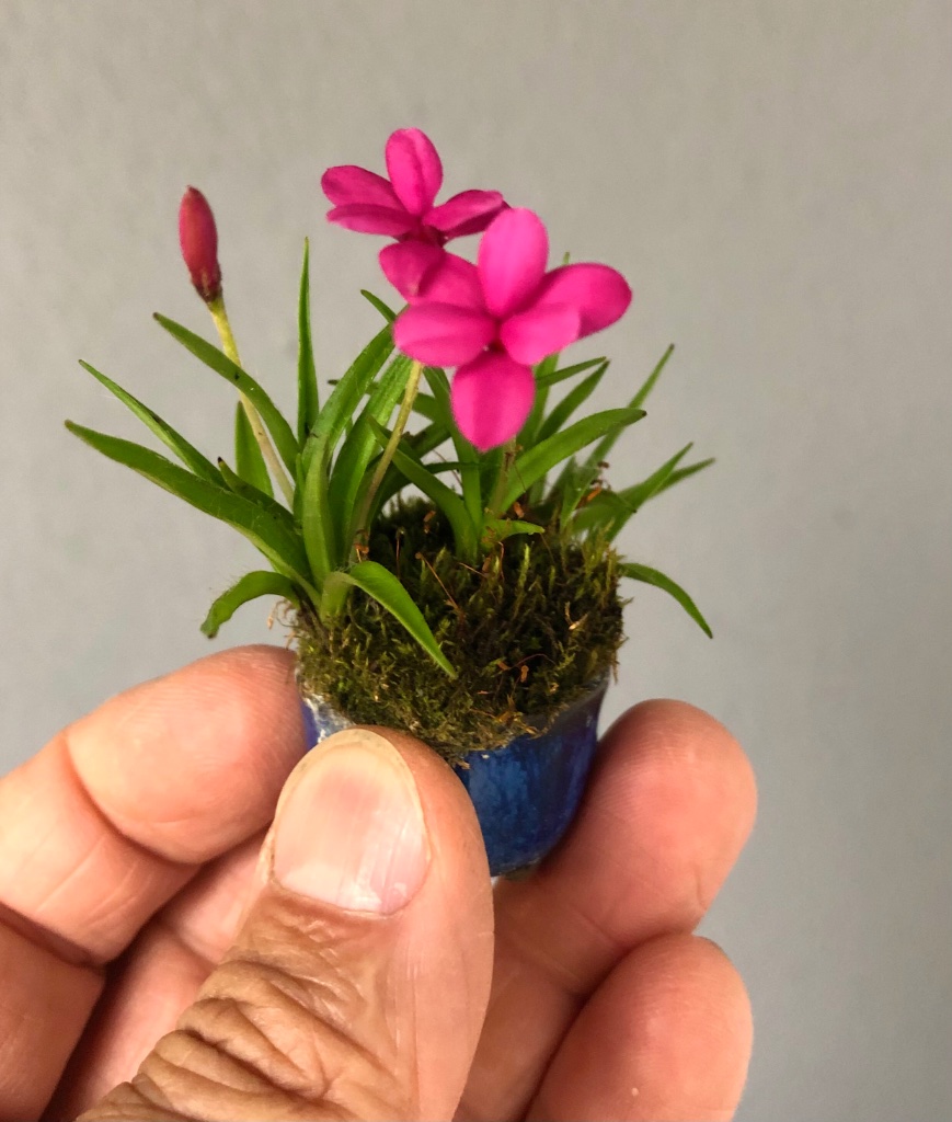 ADE1AE48-F28C-4572-BF82-DFADD84D94F8.jpeg