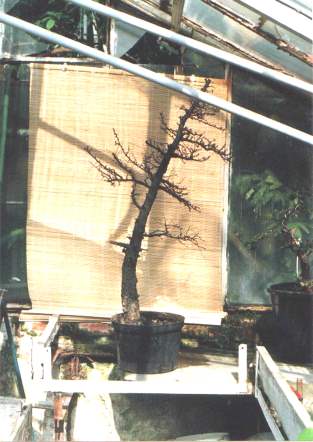 1997
