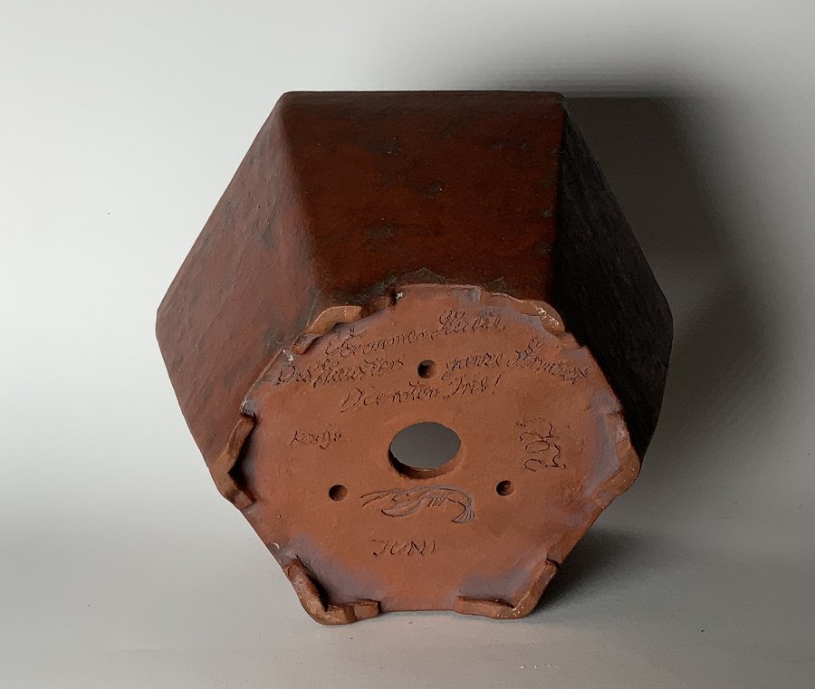 k-150 2021 4 Schildkröte.jpg