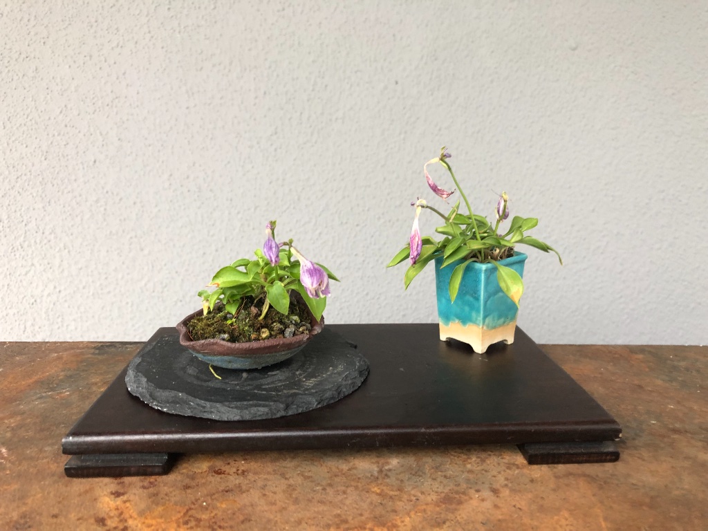 Höhe ab Schalenrand links 4 cm, rechts 6 cm