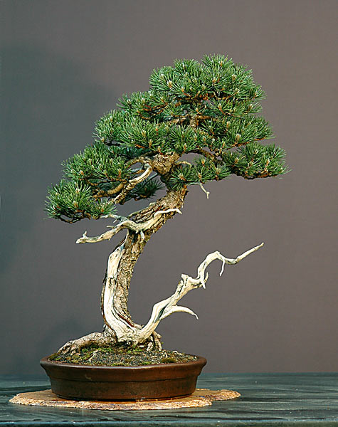 Mai 2006