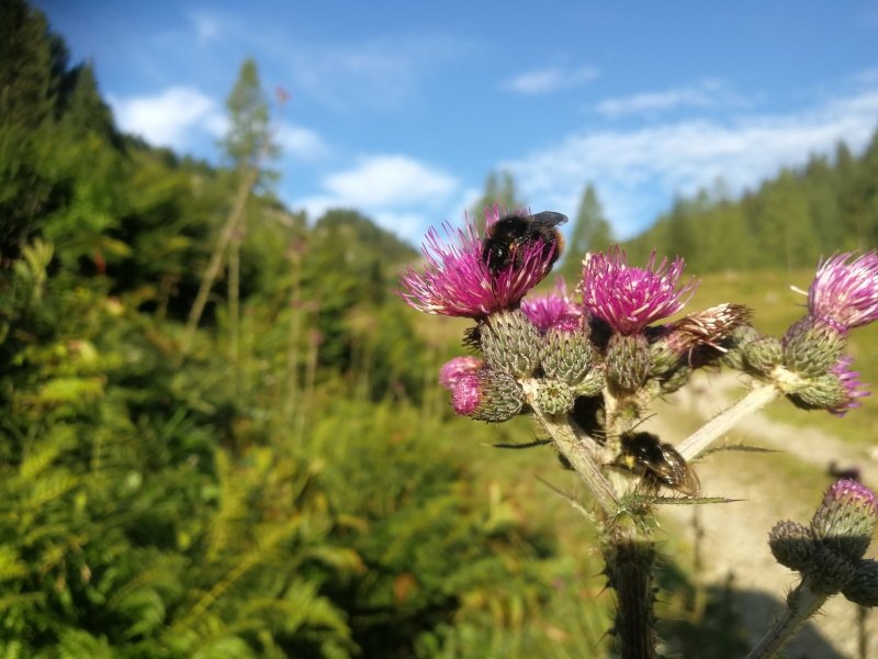 006c 09.08.21.jpg