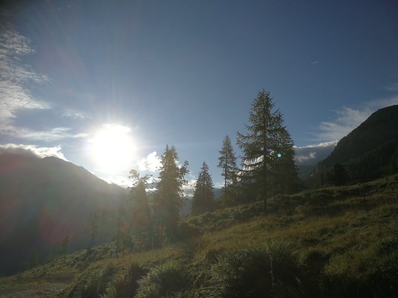 006d 09.08.21.jpg