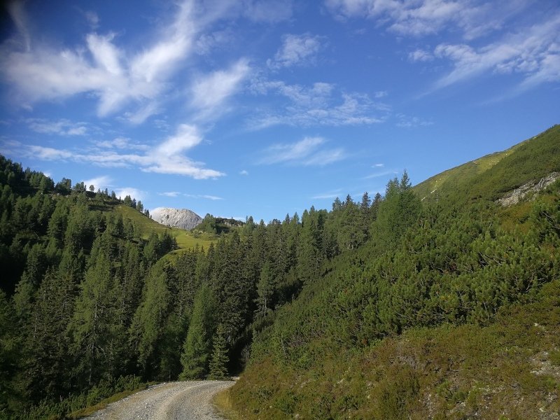 Hochlam in der Senke