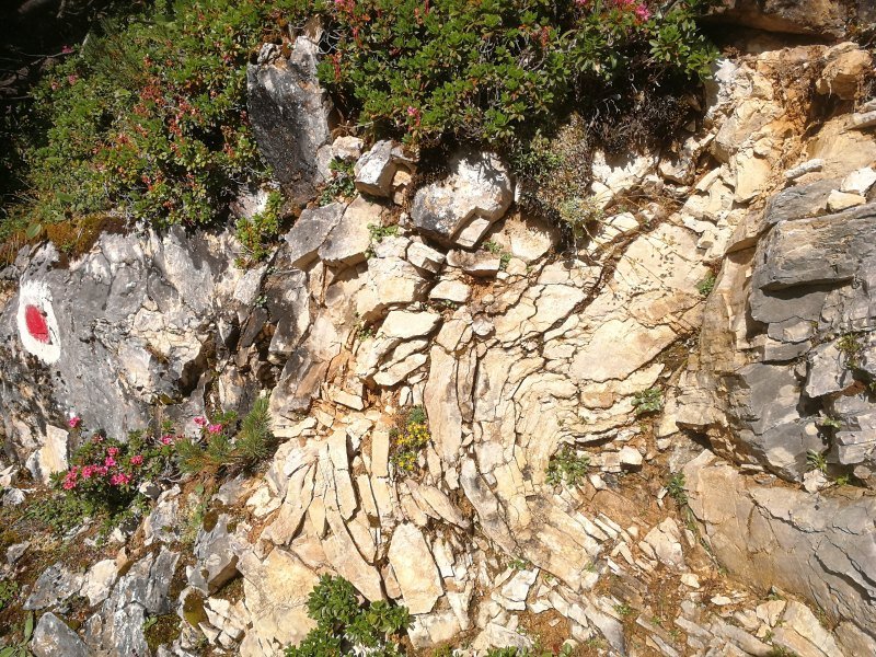 008d 09.08.21.jpg