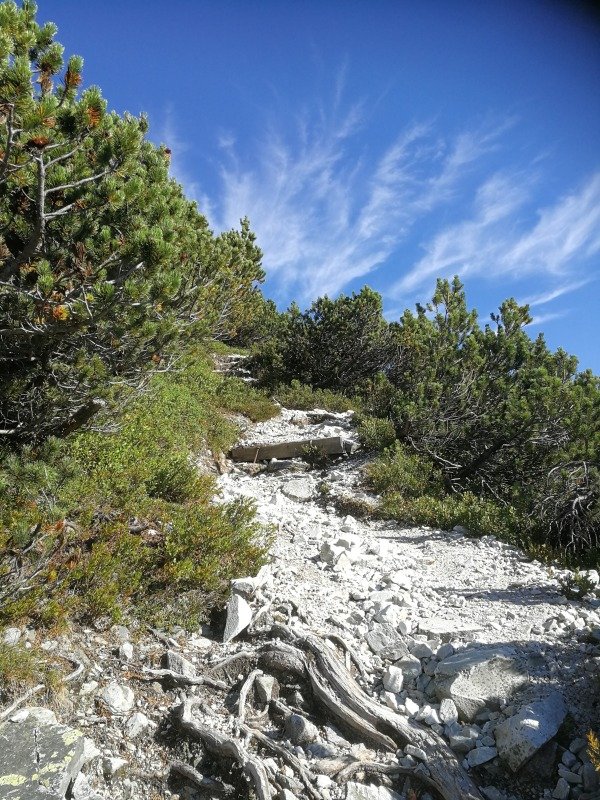 010f 09.08.21.jpg