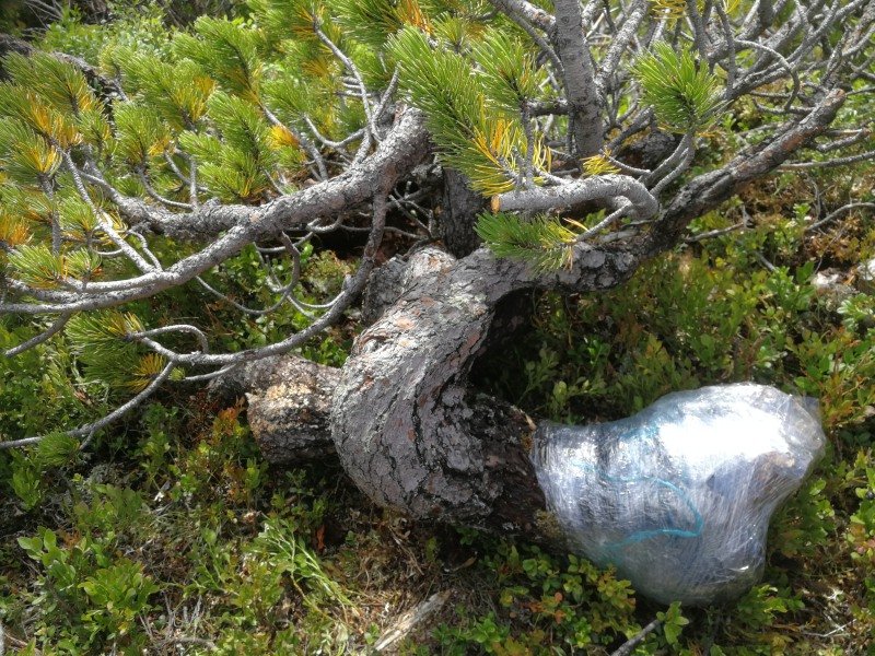 028 09.08.21.jpg