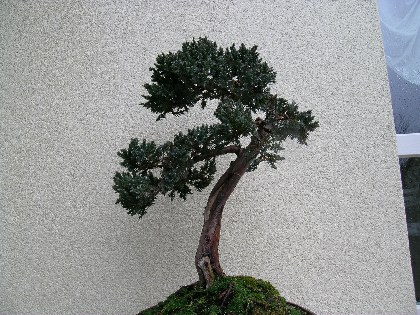 DSCN22552.jpg