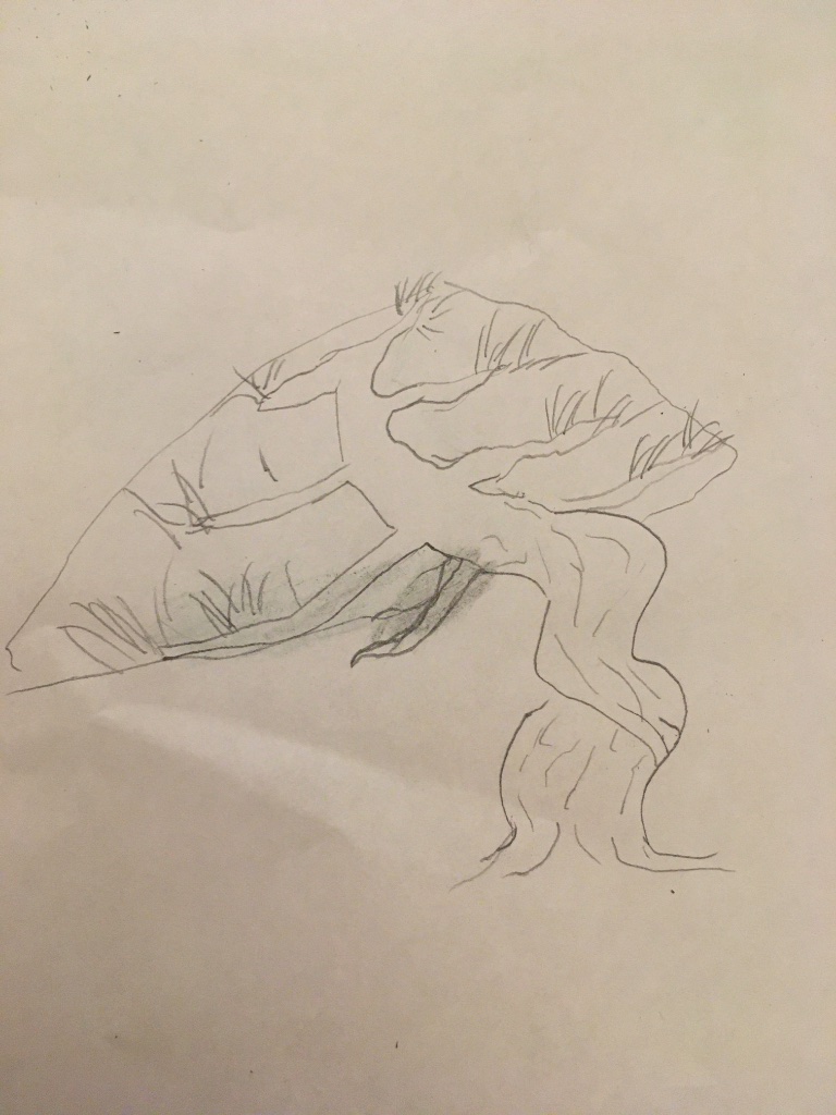 6005E4F1-044A-4DAC-8E33-CAF667541D25.jpeg