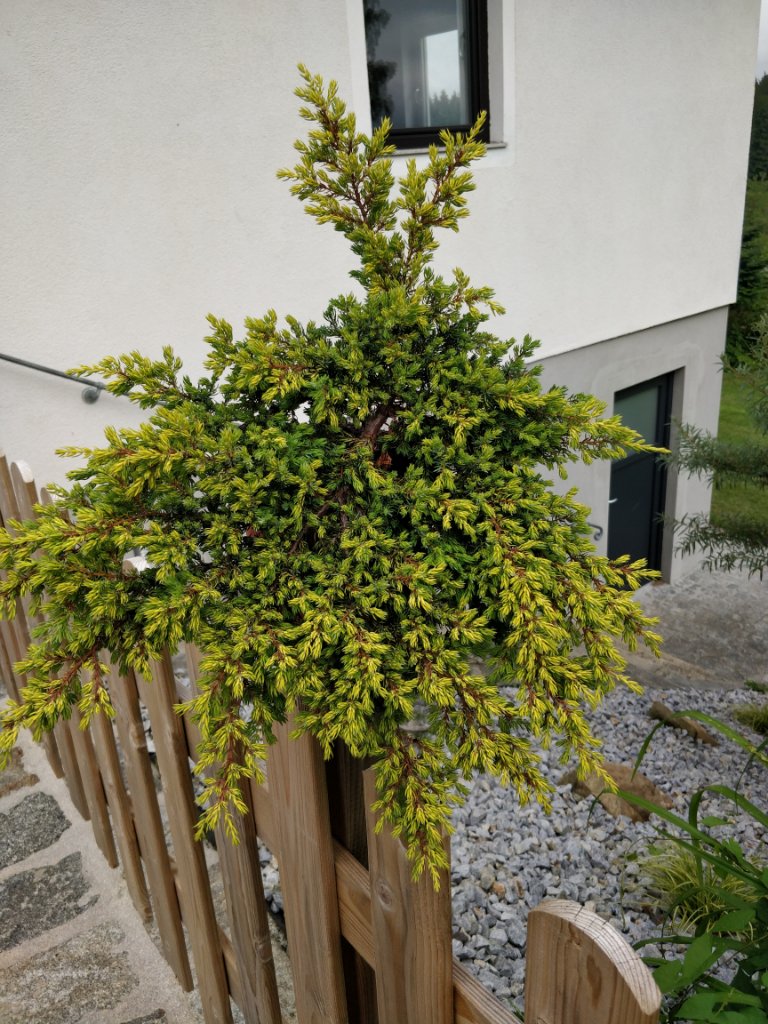 Ursprung