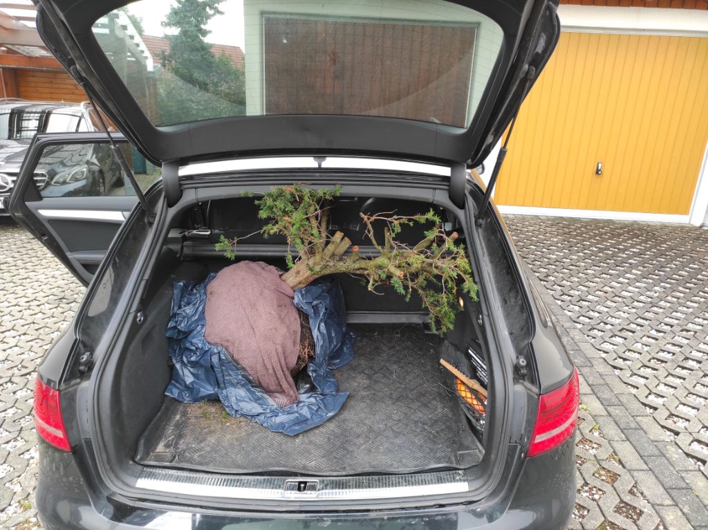 Kofferraum.jpg