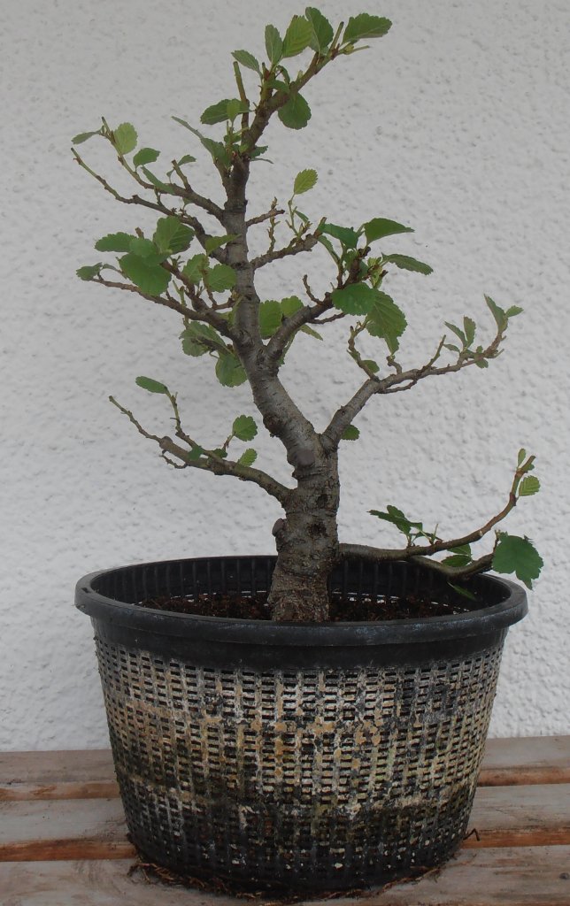 P9010414.JPG