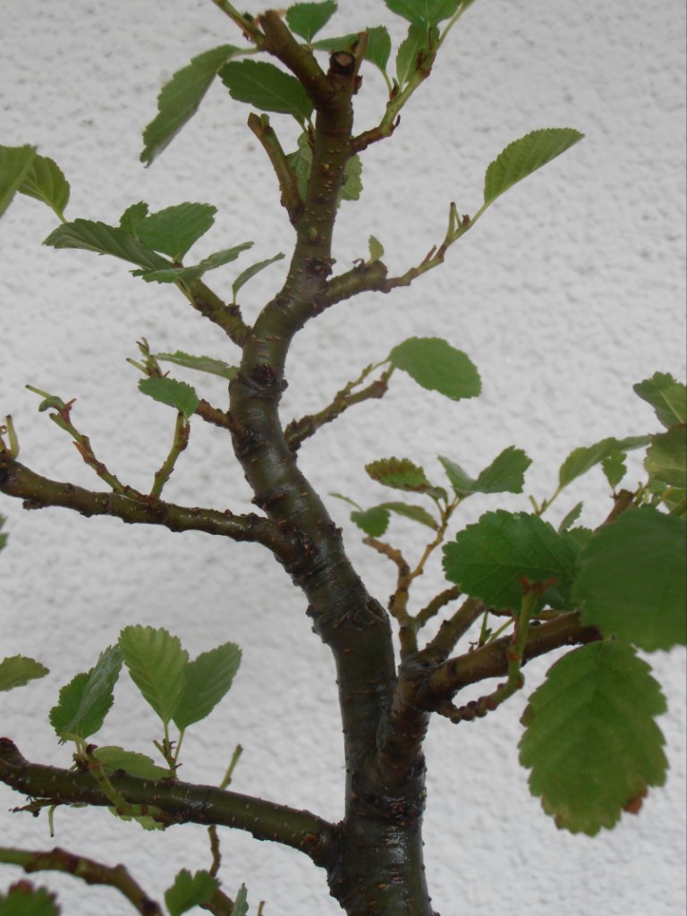 P9050431.JPG