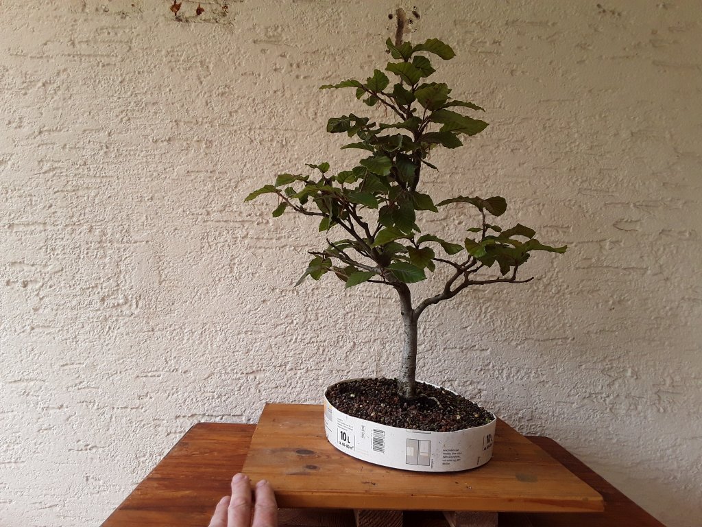 20210913_160916.jpg