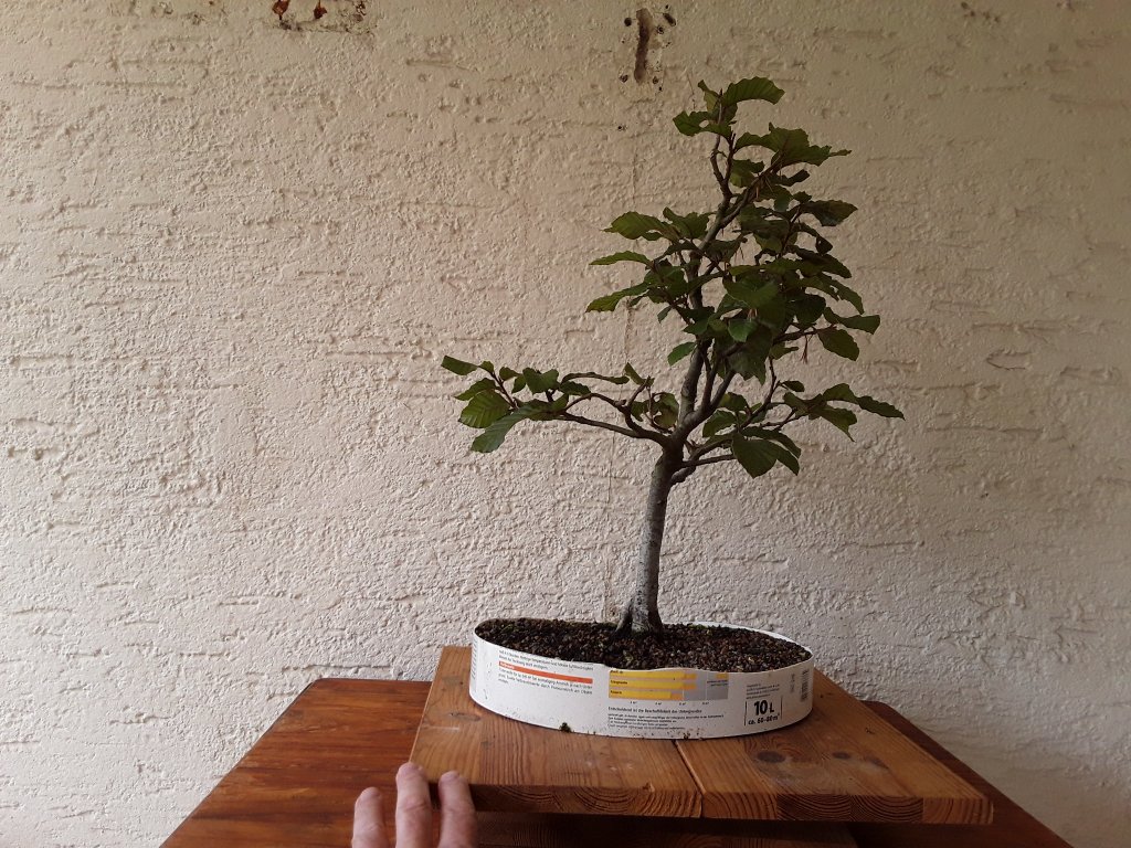 20210913_160920.jpg