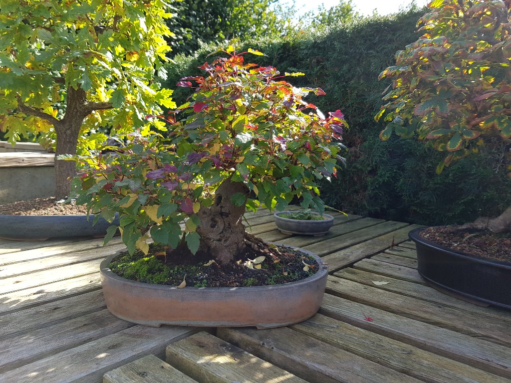 20210928_130924.jpg