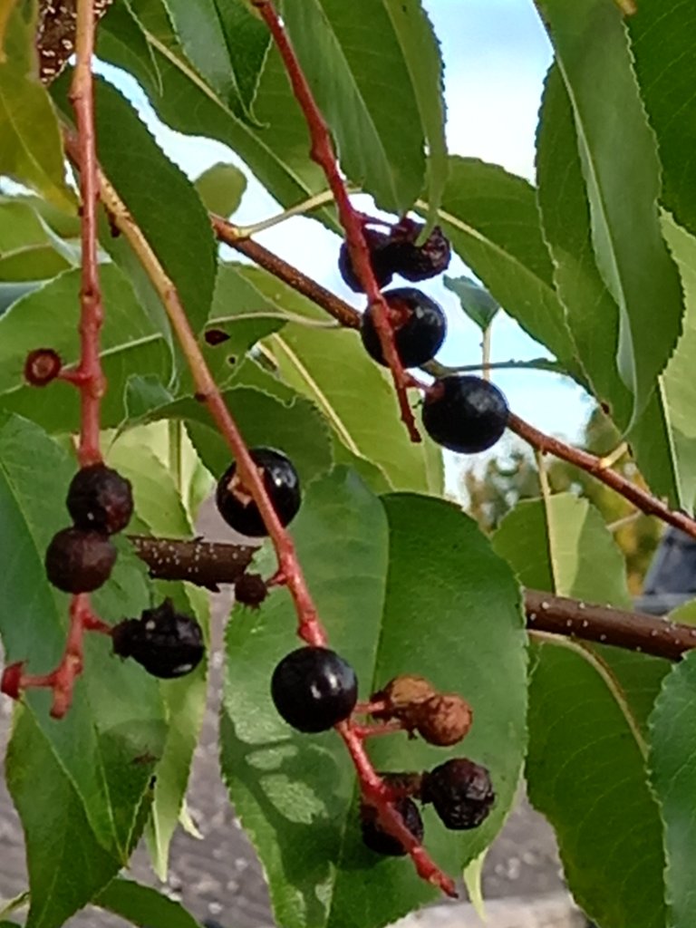 20211001_171948.jpg