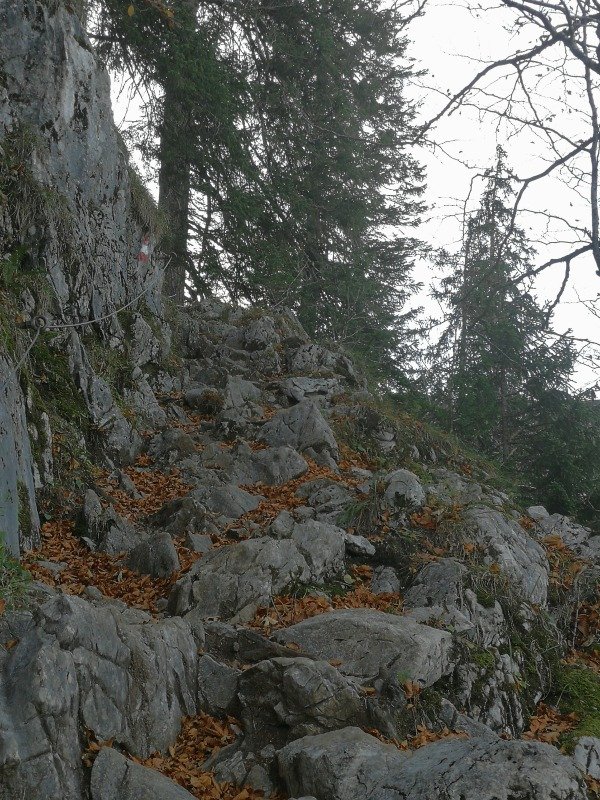 image007.jpg