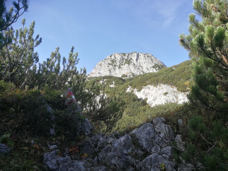 image013.jpg