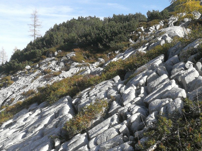 image017.jpg