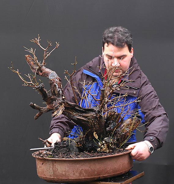 David schinedet alles raus, was da nicht hin gehört.
<br />Das ist schon ein Brocken. Den Baum meine ich.