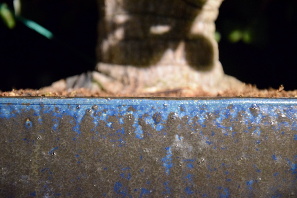 9439372C-ADB4-4928-A6D1-8AD8D5F619BB_1_201_a.jpeg