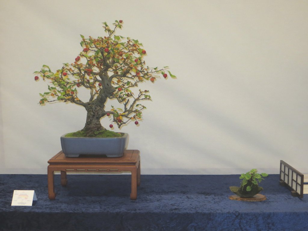 Apfel