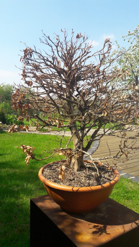 20170421_143024-1.jpg