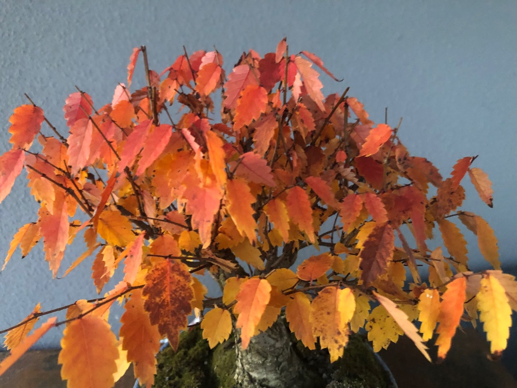 C65E1AA2-18C0-402D-B671-20120D4C45E6.jpeg