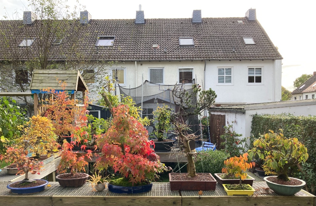 Bewölkt