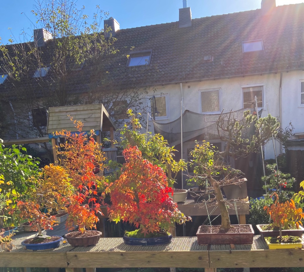 In der Sonne (ohne Fotoshop o.Ä.)