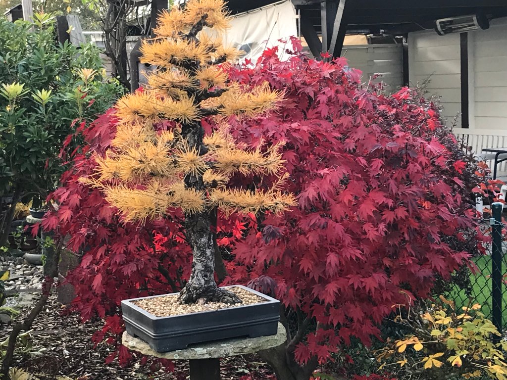 Herbst.jpg