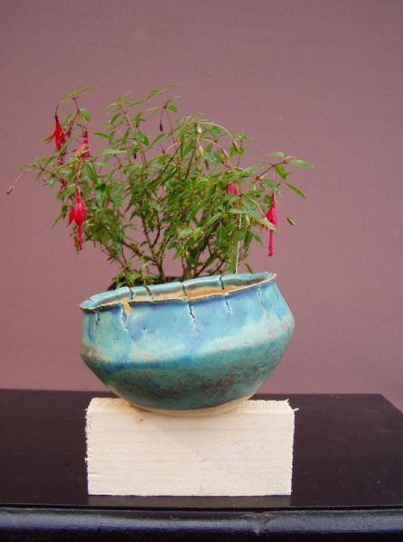 ob das gutgeht? ne schräge Schale mit gerade hängenden Fuchsienblüten
